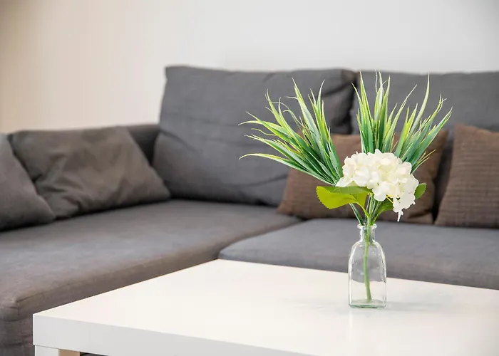 Medano4you Mirandas Marineda El Médano